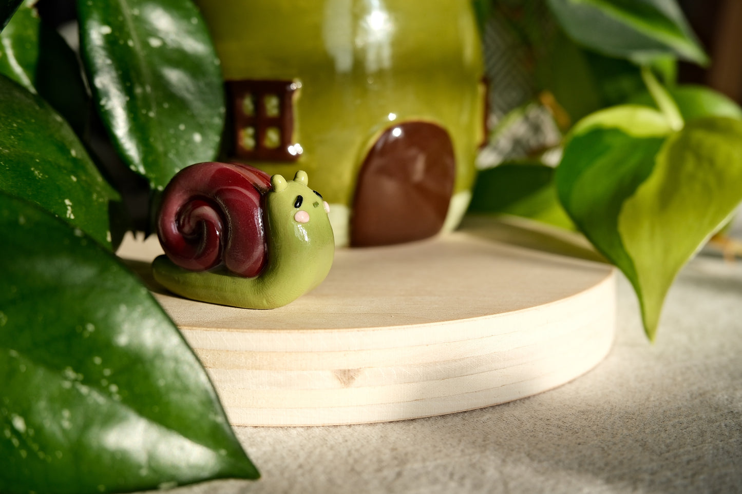 Snail Buddy
