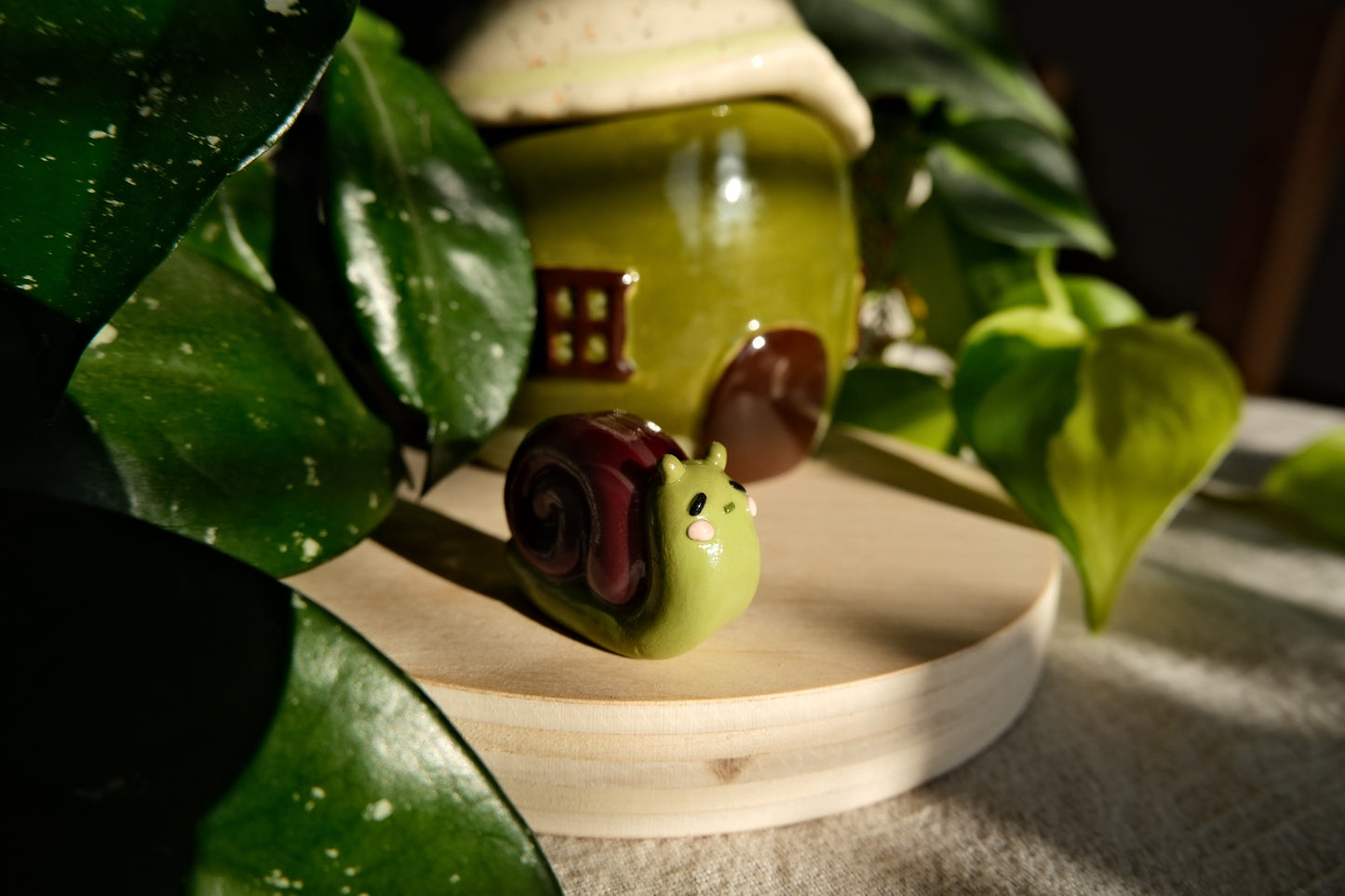 Snail Buddy