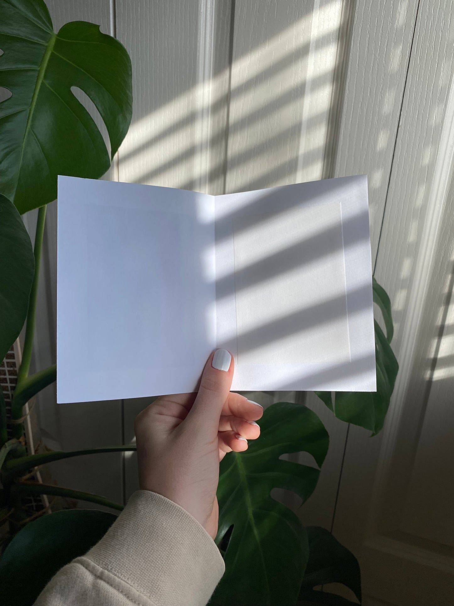 House Plant Card no.21