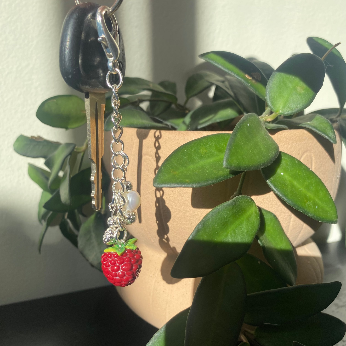 Juicy Raspberry Charm