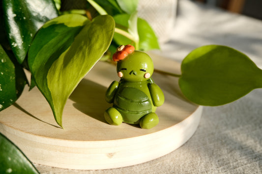 Oliver the Groovy Turtle