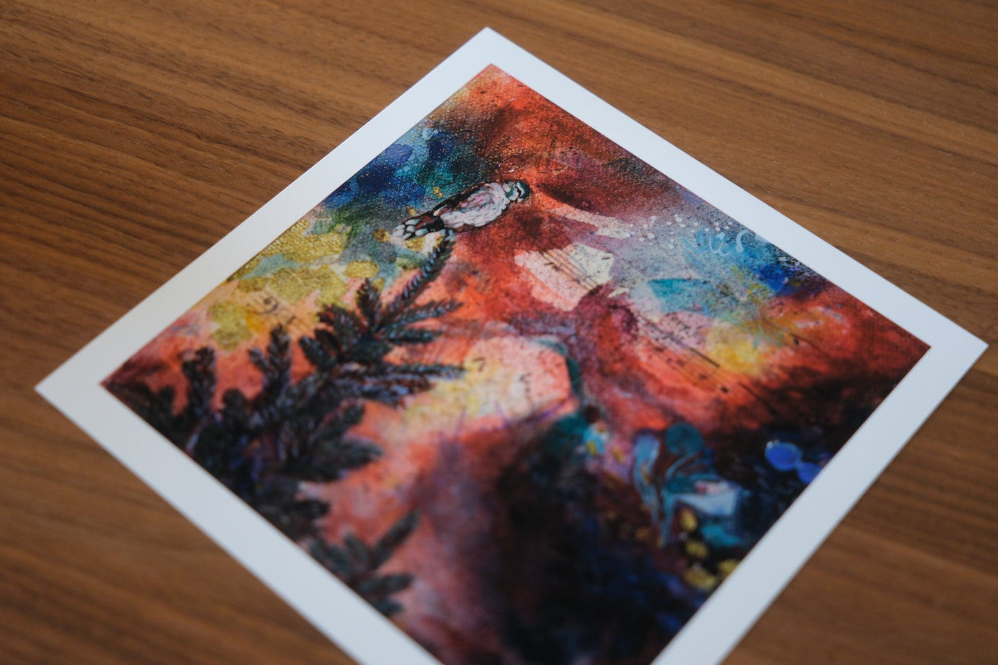 ‘Our neighbourhood merlin’ Fine Art Print