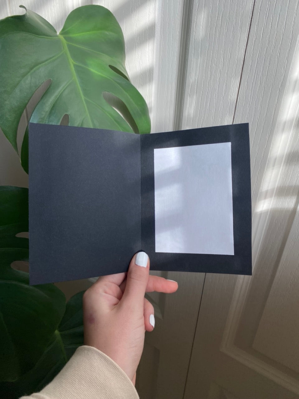 House Plant Card no.15