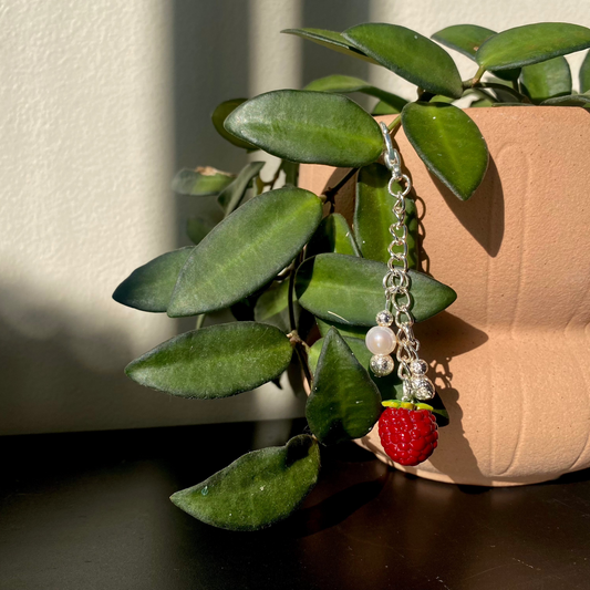 Juicy Raspberry Charm